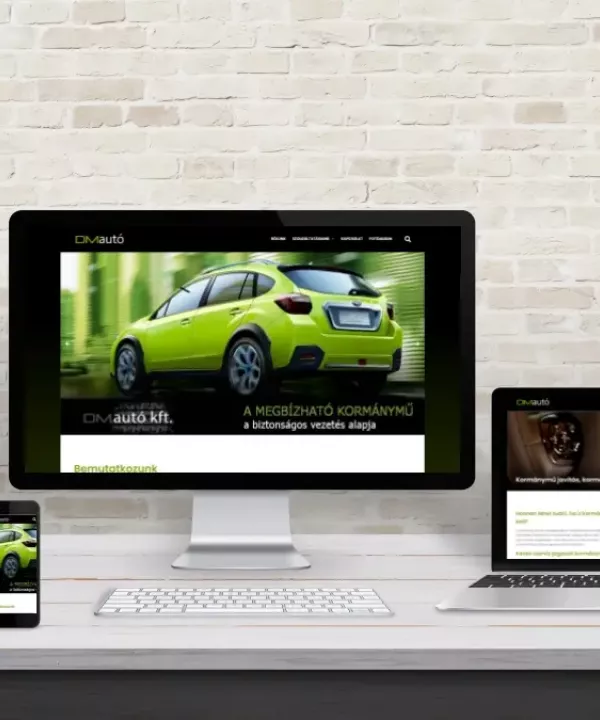 DM Autó Kft. kormánymű- és szervórendszer javítás